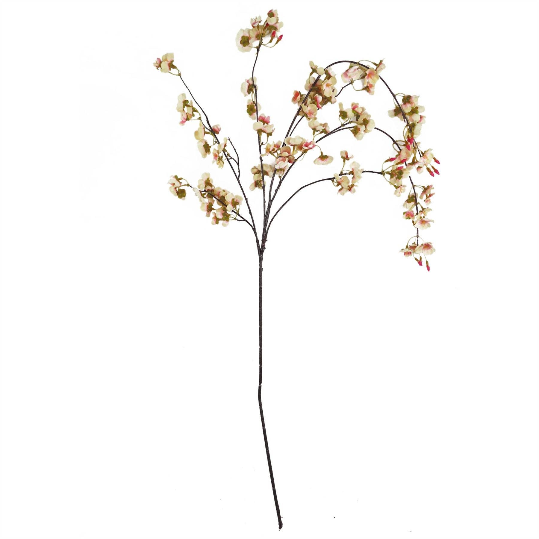 Natural Pink Trailing Cherry Blossom Stem