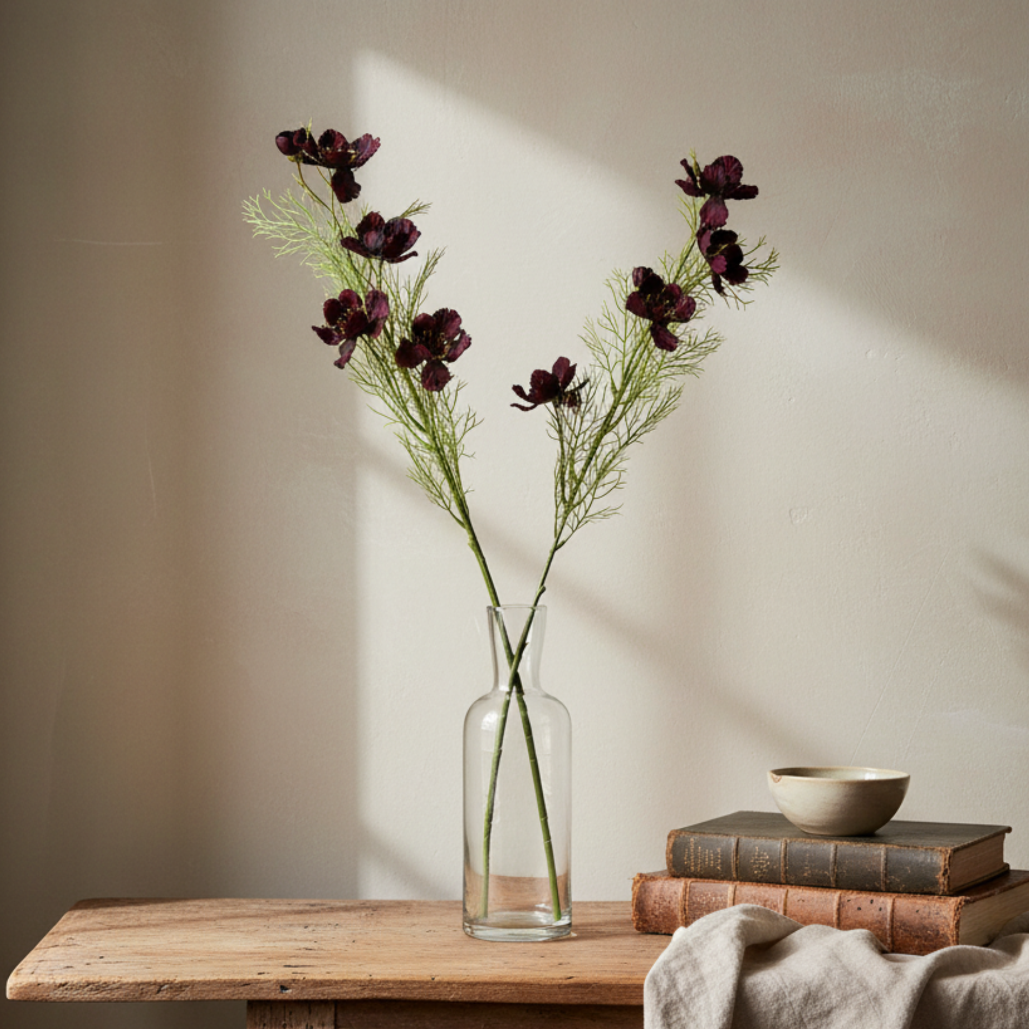 Cosmos | Burgundy
