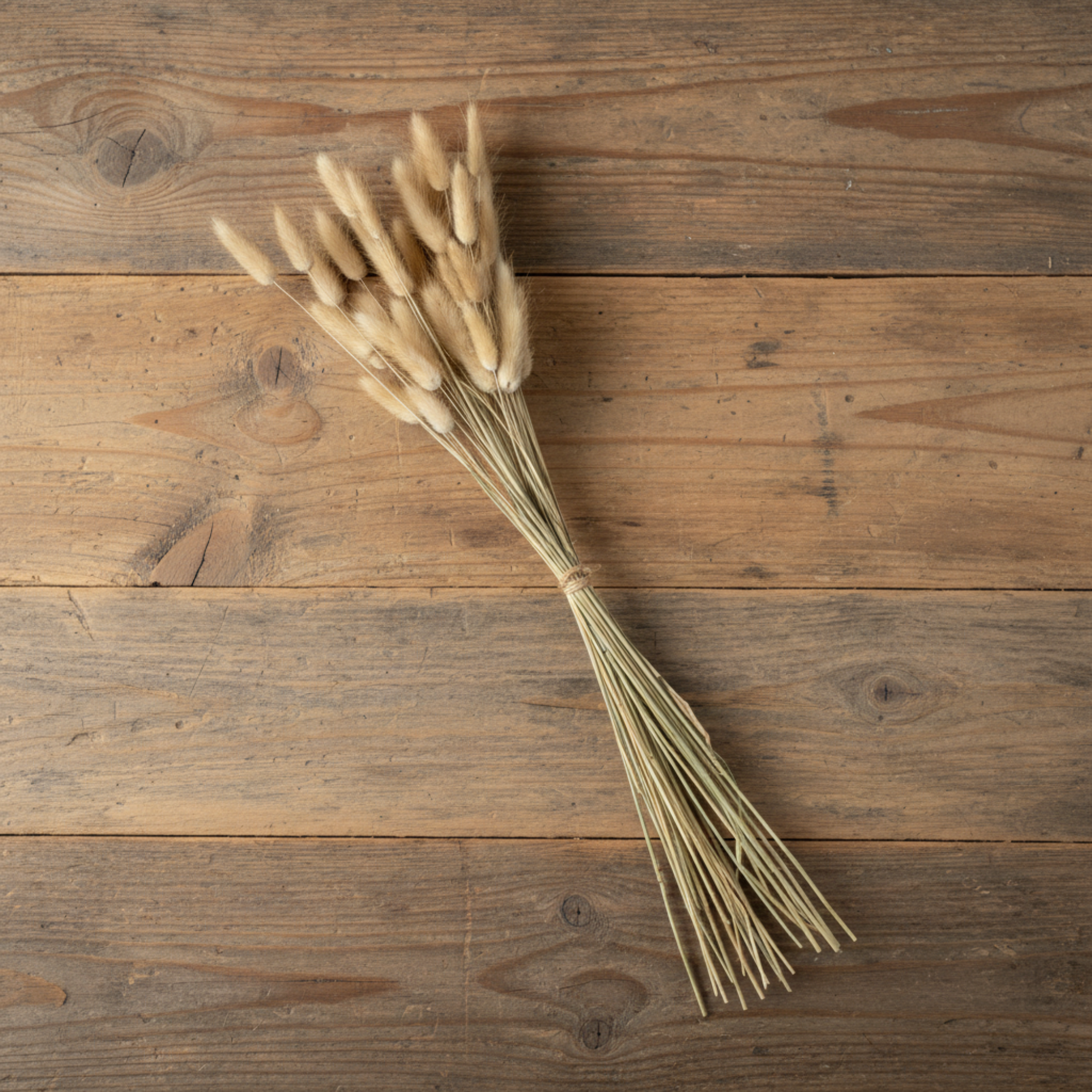 Natural Bunny Tails