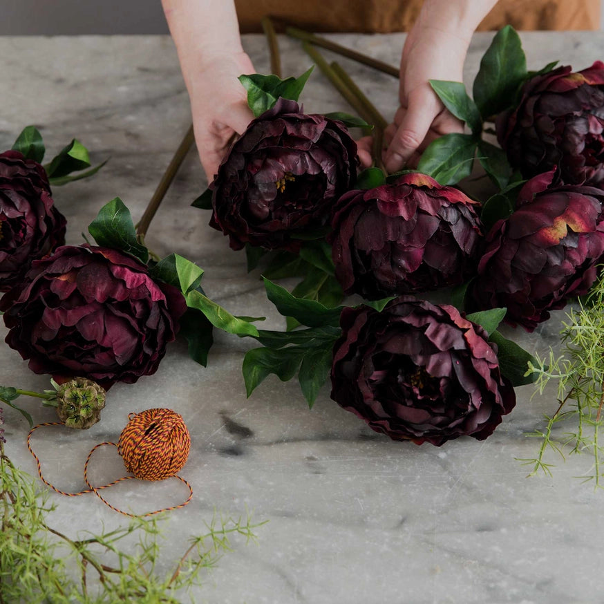 Peony Plum