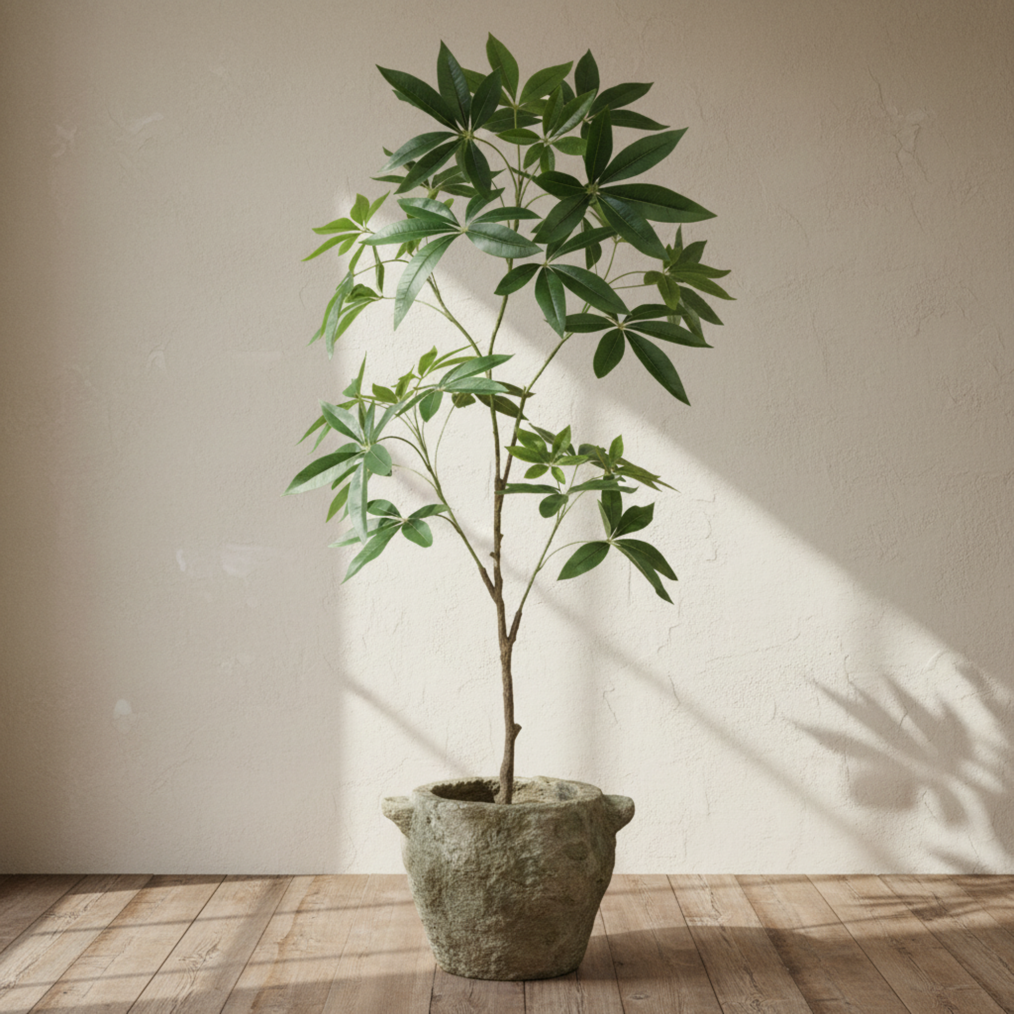Money Tree