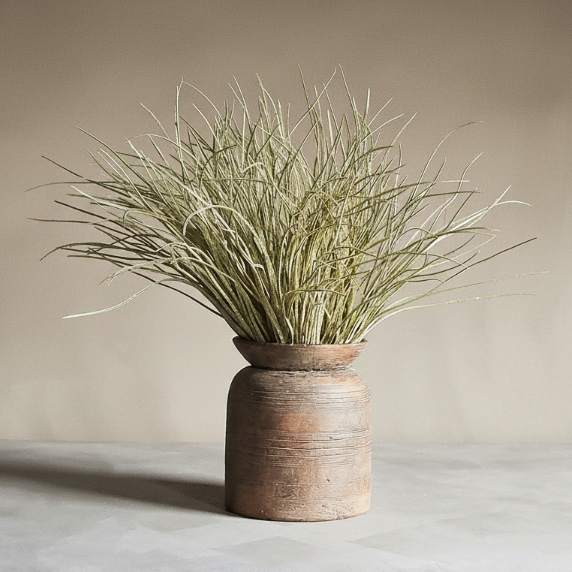 Savannah Grass Stem