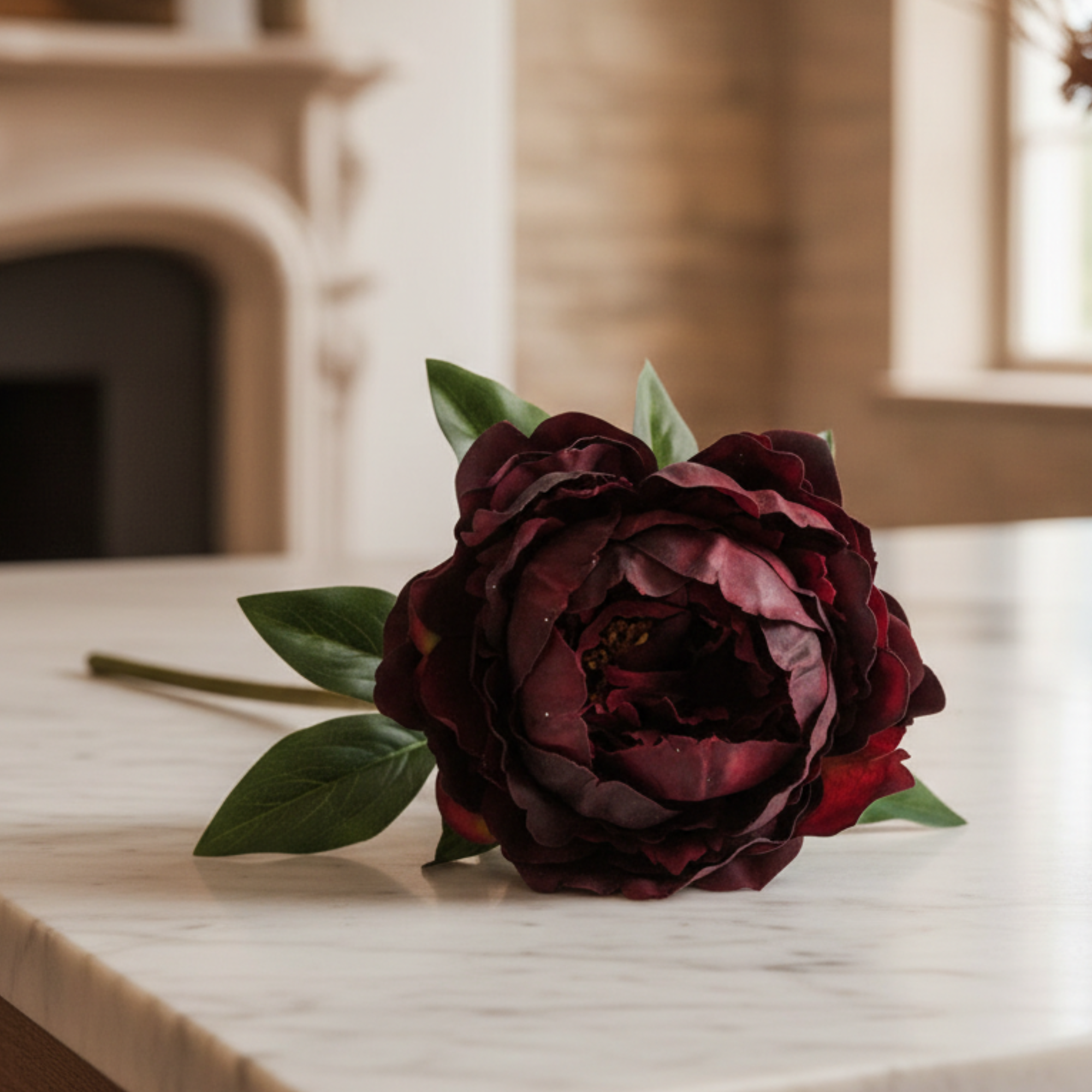 Peony Plum