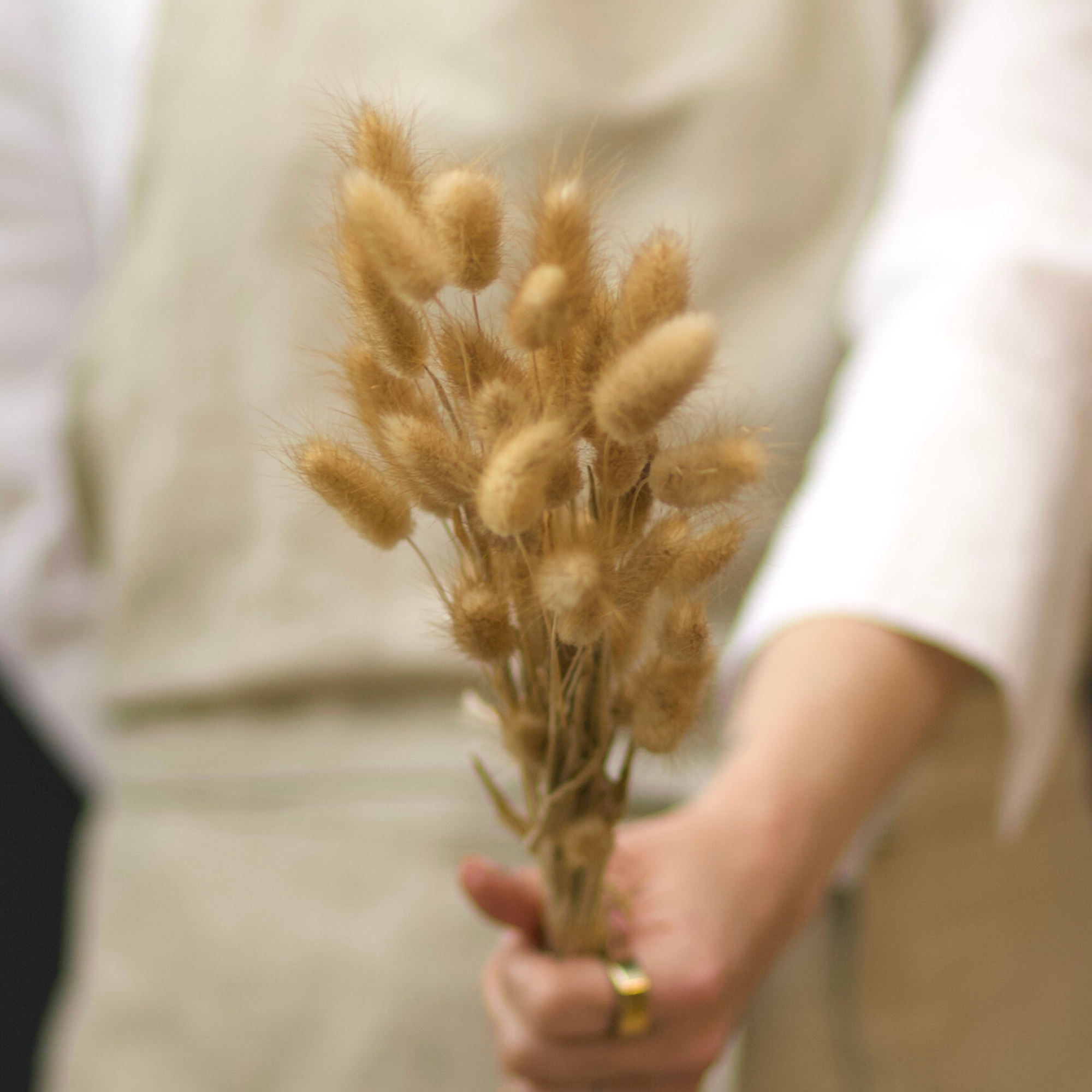 Natural Bunny Tails