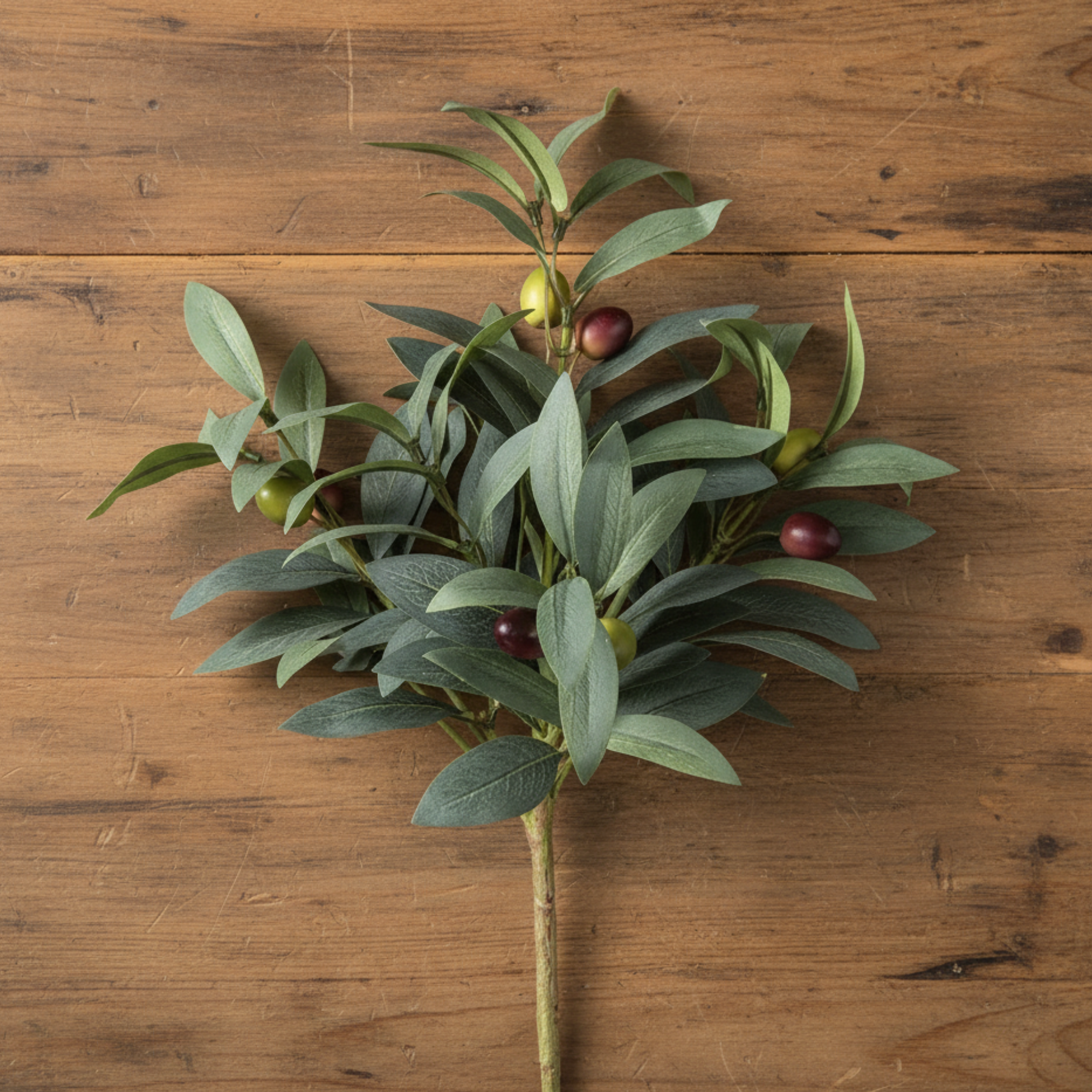 Olive Bush Stem