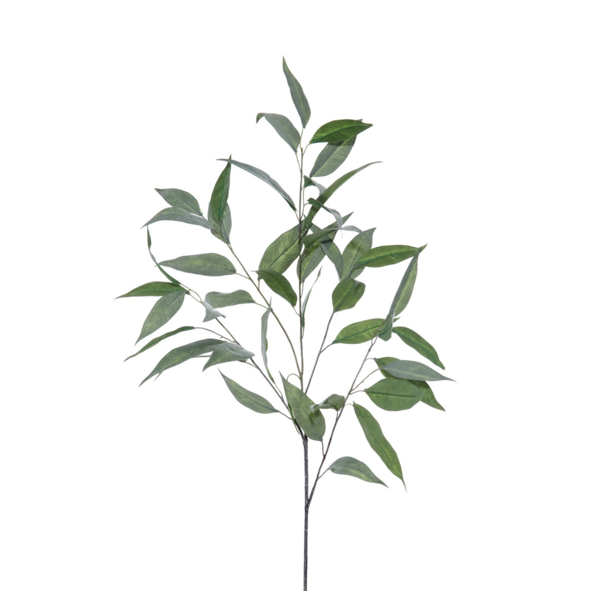 Willow Eucalyptus Spray