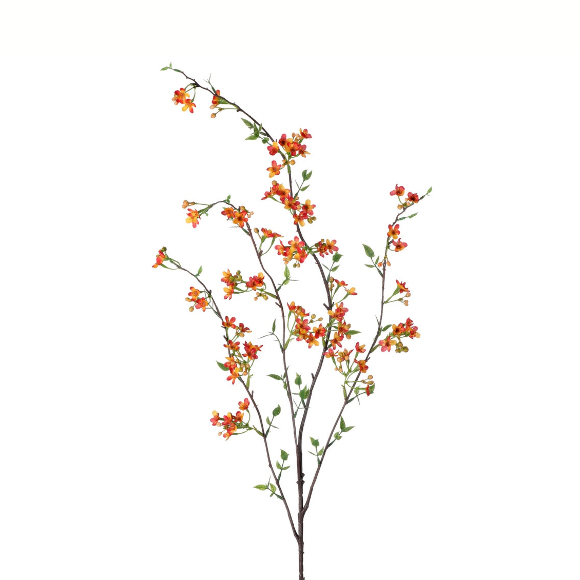 Wax Flower Spray | Orange/Yellow