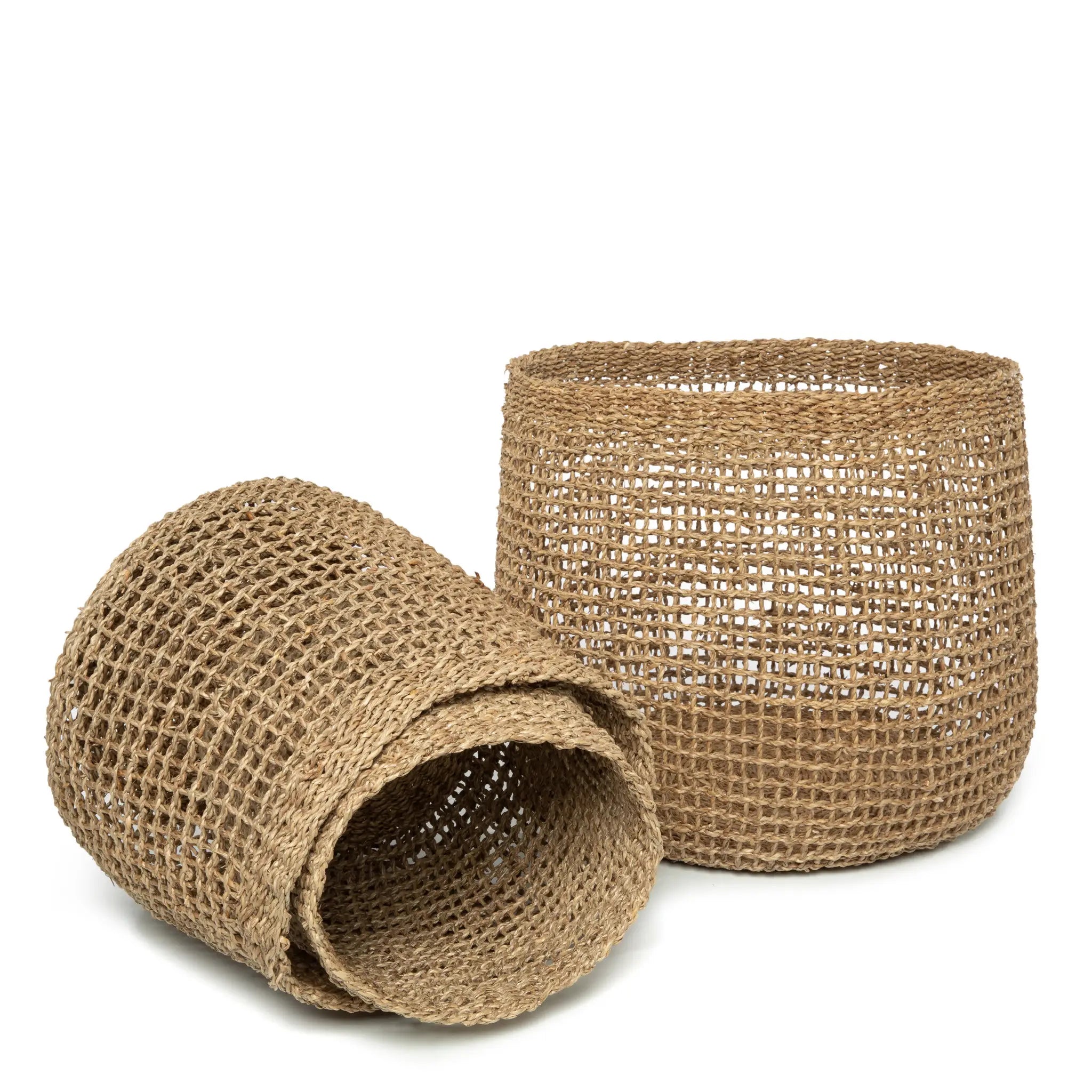 Lang Co Basket | 3 Sizes