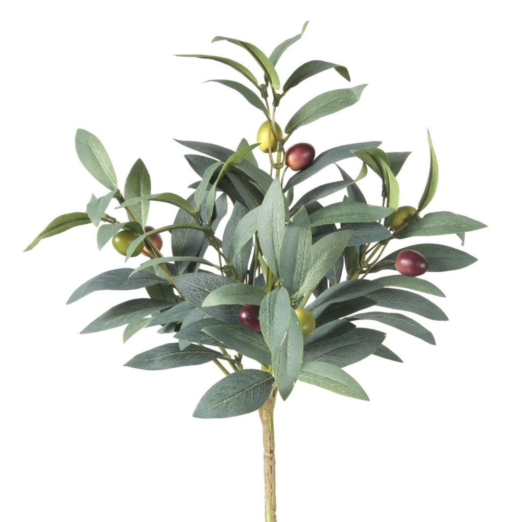 Olive Bush Stem